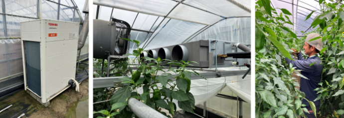 Pic of Agriculture combined v05.png