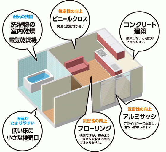 今の家のイメージ