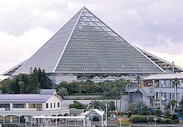 横浜八景島シーパラダイス水族館「アクアミュージアム」